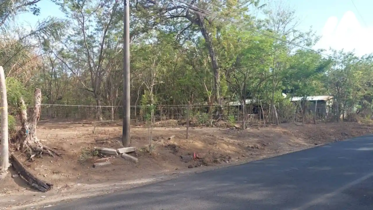 lote512050600003