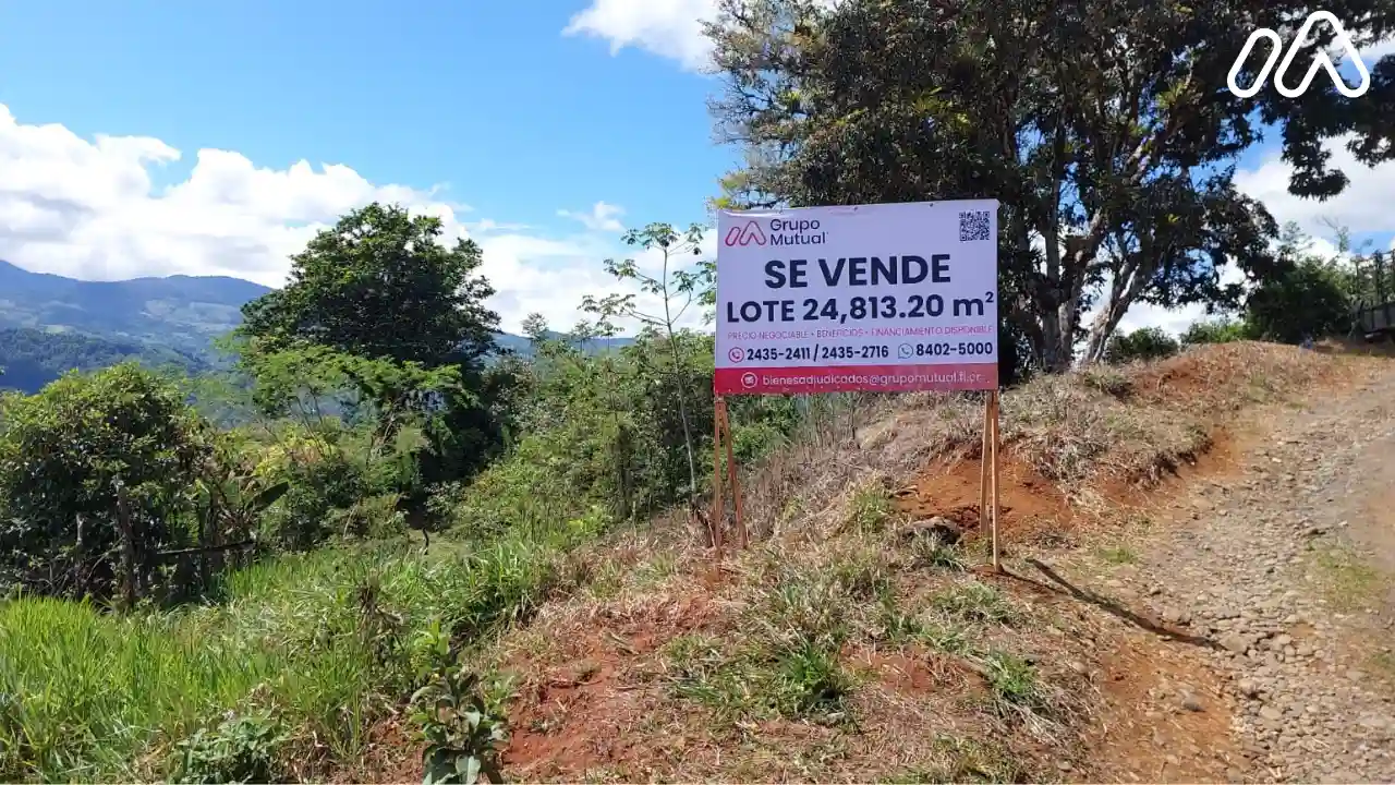 Imagen 1 Lote 6032938000