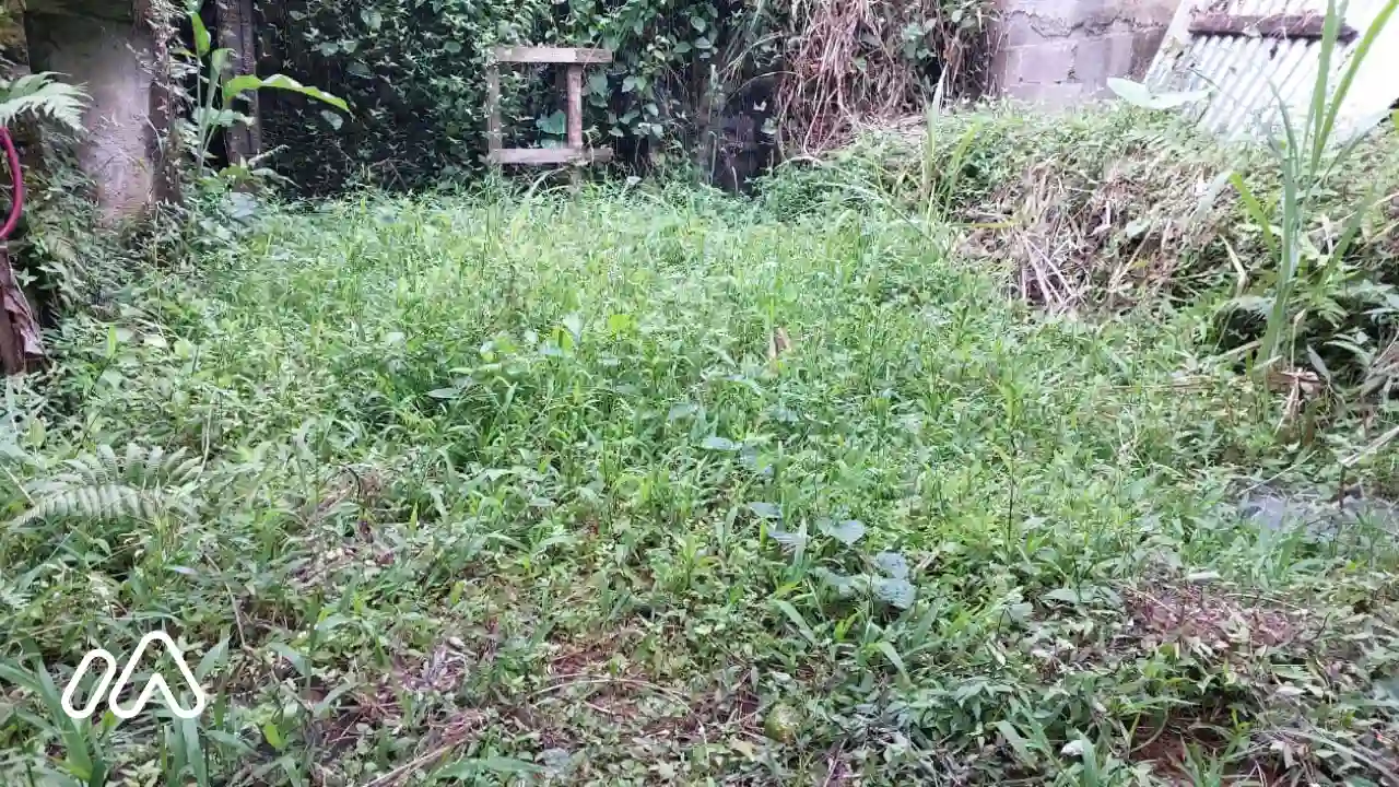 7092066000foto4 7092066000foto4