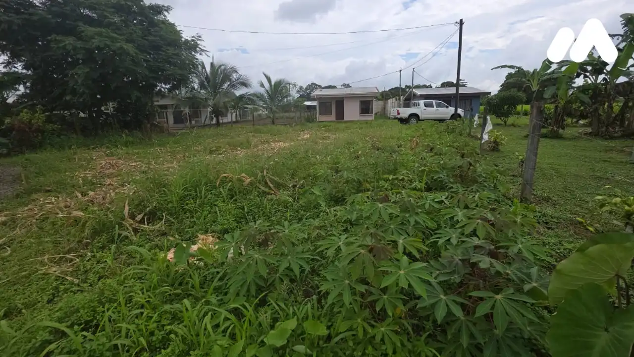 lote42599536000 lote42599536000