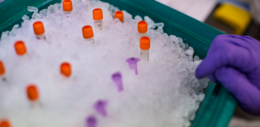 Fläschchen mit orangefarbenen und violetten Kappen in Eis.