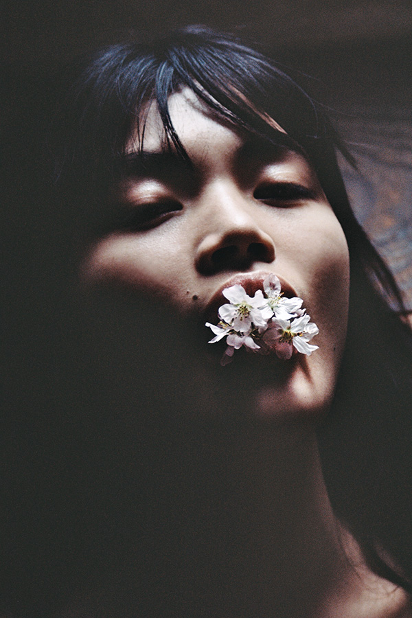 Collection Image