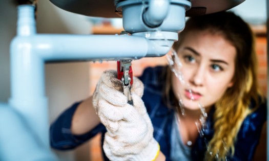 Fix Leaks and Dripping Faucets