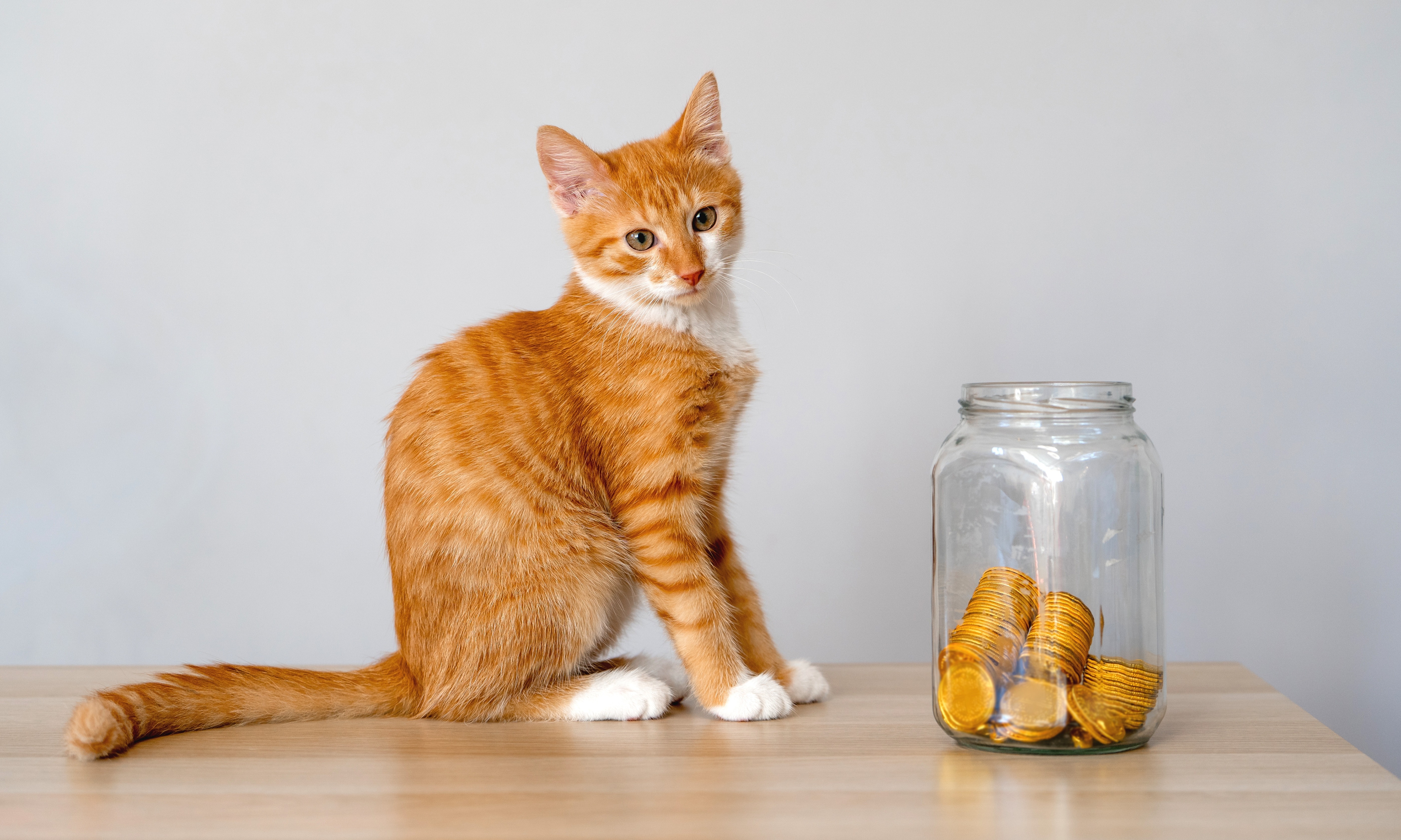 Budgeting for Recurring Costs Encourages Consistency