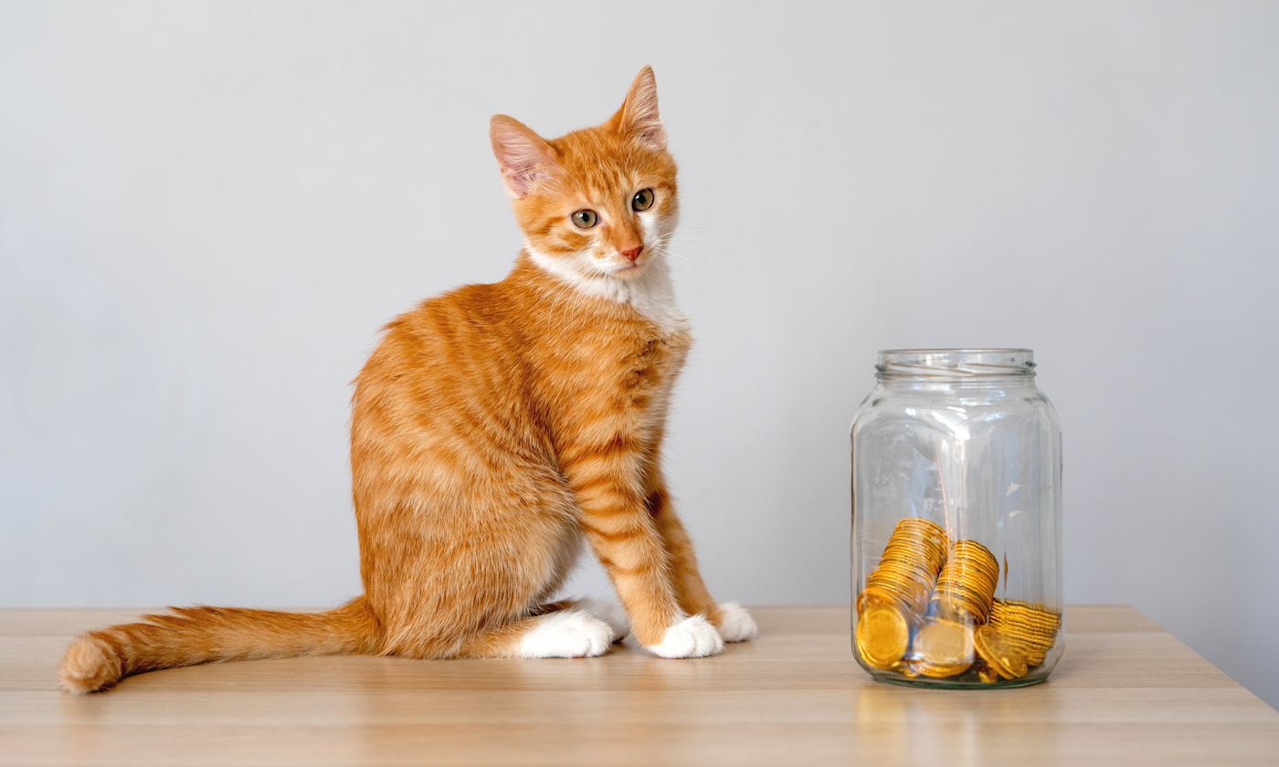 Budgeting for Recurring Costs Encourages Consistency