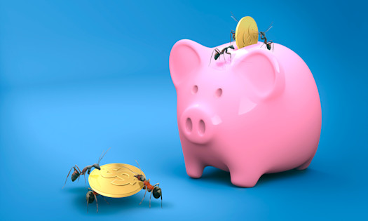 5 Money Lessons You Can Steal from Nature’s Survival Tricks