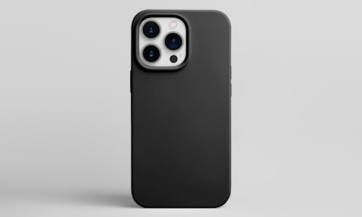 Steve Jobs – Passion Leads to Profitability