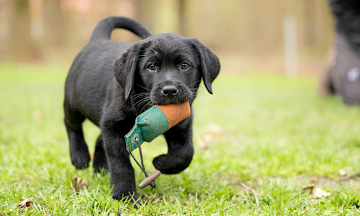 6. They Know What Truly Brings Joy — and It's Free