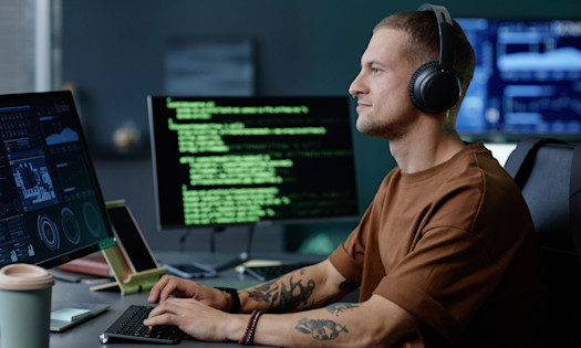 They Have Multiple Income Streams