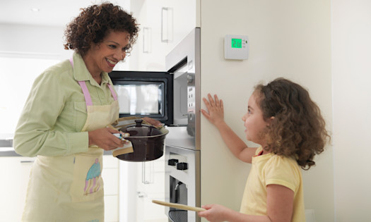 Energy-Efficient Ovens and Stoves