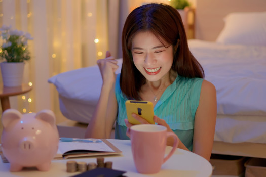 presspay-alternative-hi