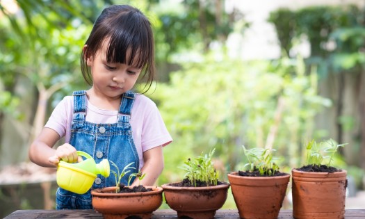 Educate Family Members