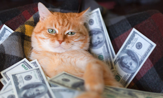 4. They Know the Power of Routine