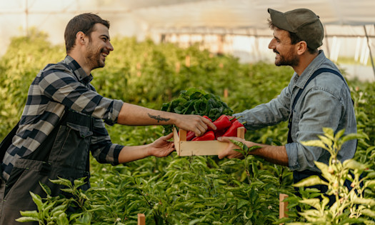 Unique Items to Trade Instead of Spending Money