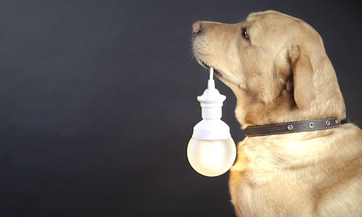 2. They Conserve Energy (and Resources) for What Truly Matters