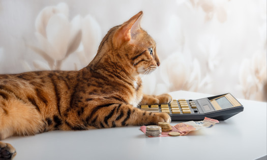 7 Surprising Ways Your Pet Outsmarts You When It Comes to Money