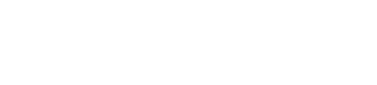 The Verge logo