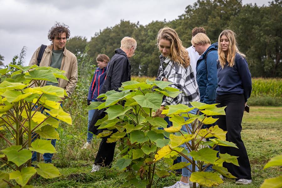 Regio Deal 'West-Brabants welvaren' uitgelegd: Hoe werkt de deal?