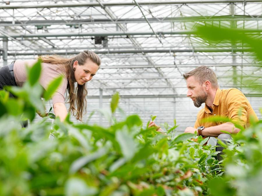 Aanvraag nieuwe Regio Deal om brede welvaart regio West-Brabant te stimuleren