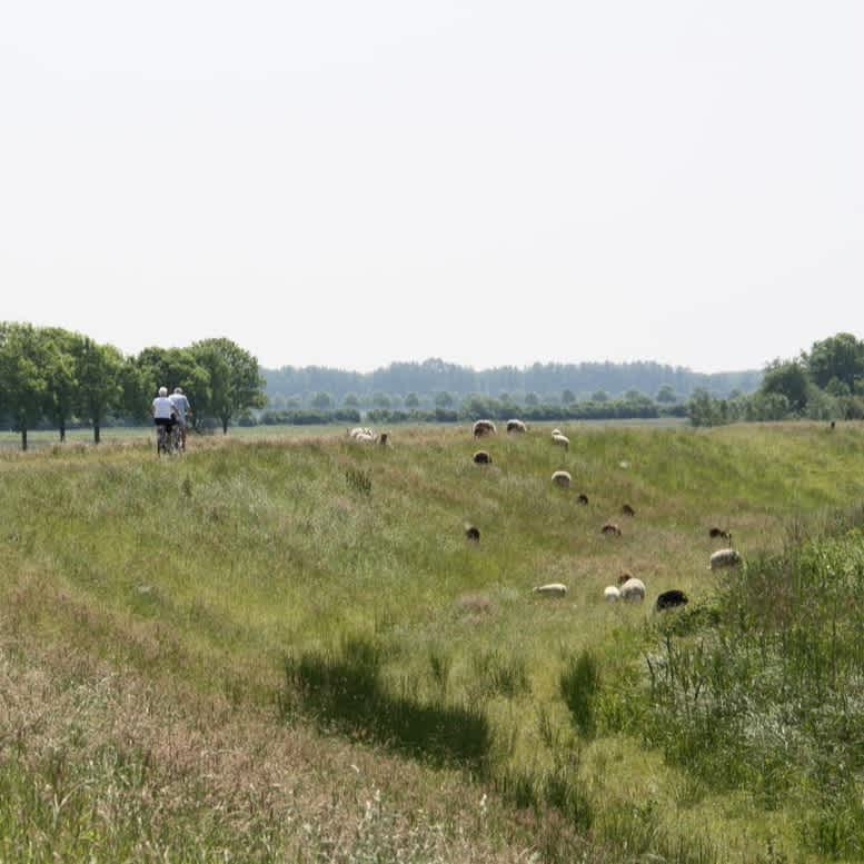Focus op versnelling ecologische verbindingszones West-Brabant