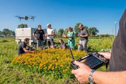 Header afbeelding plantaardige regio - Pixelfarming Robotics Almkerk