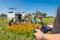 Header afbeelding plantaardige regio - Pixelfarming Robotics Almkerk