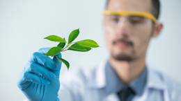 Ronde O&O-fonds geopend