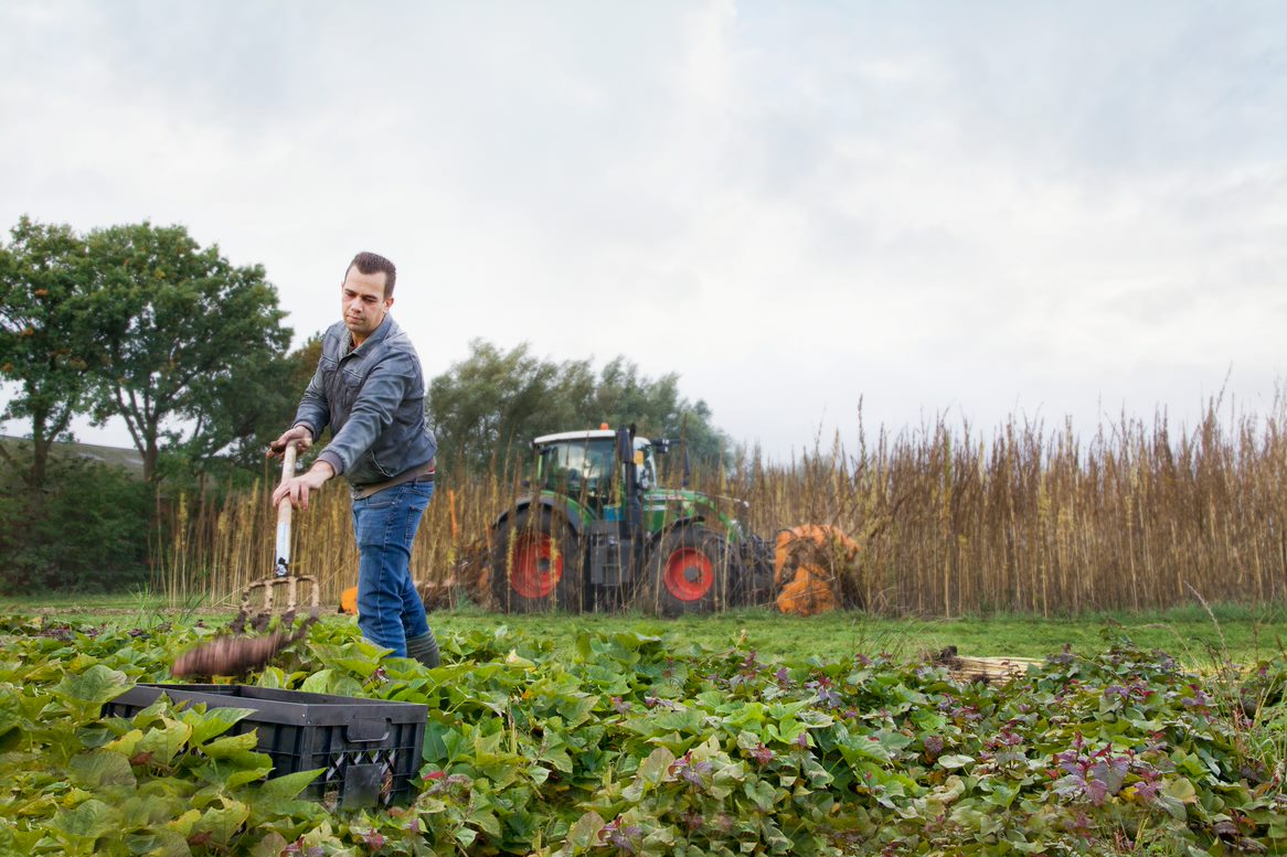 De Markhoeve in Strijbeek: Boerderij van de toekomst