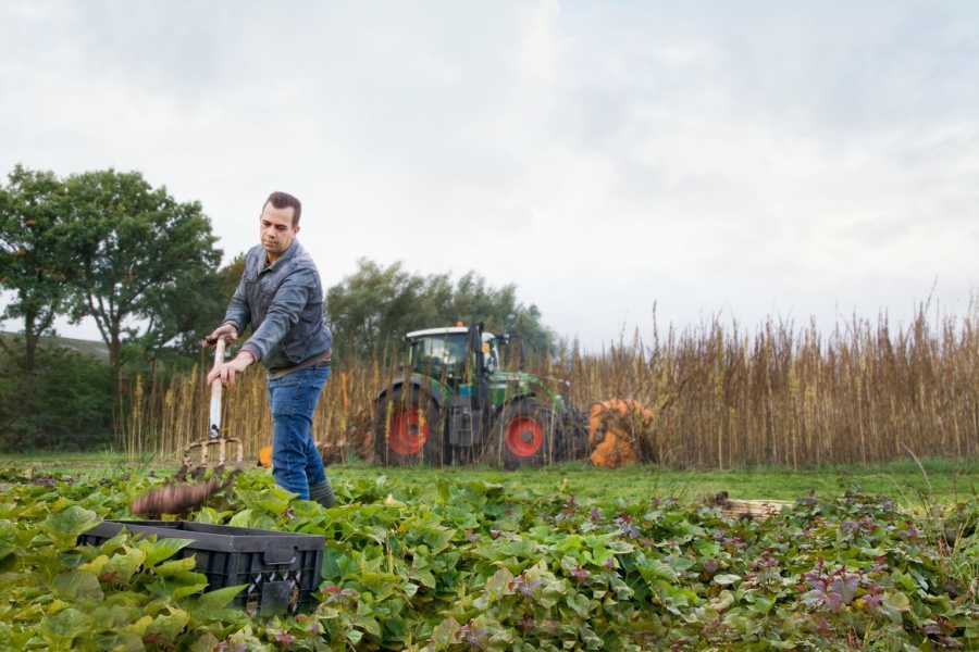 De Markhoeve in Strijbeek wordt de boerderij van de toekomst!