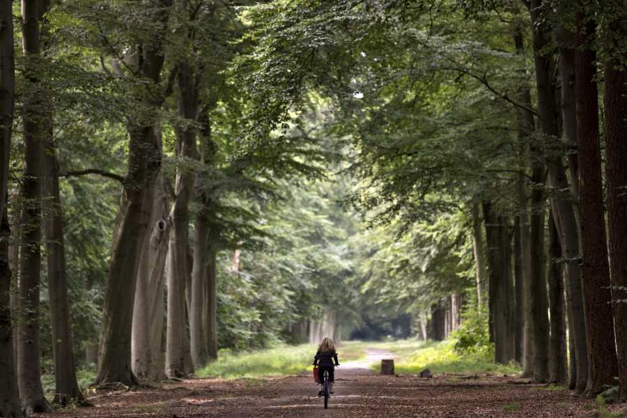 Visit Brabant brengt populariteit en potentie West-Brabantse routes in beeld