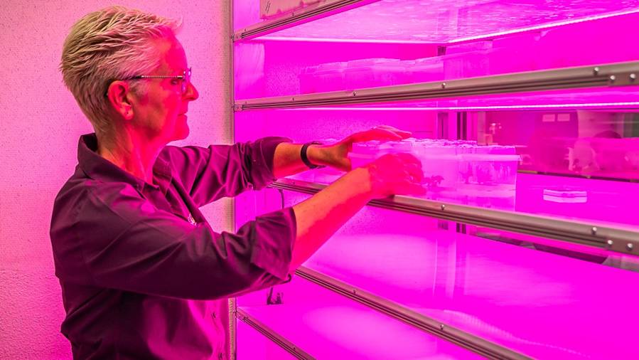 Subsidie uit Onderzoek & Ontwikkelfonds voor drie nieuwe projecten