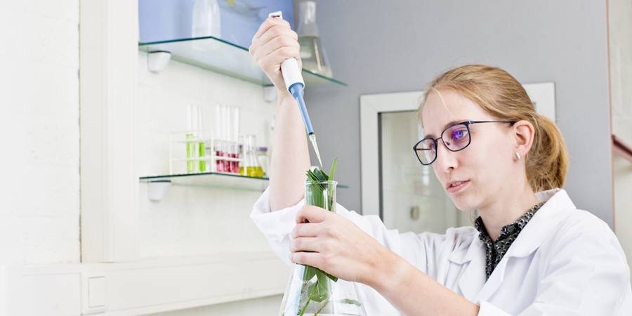 Hoe het plantaardig DNA van West-Brabant de brede welvaart in de regio kan vergroten