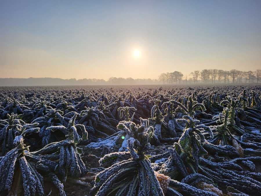 Terugblikken op 2023 met Regio West-Brabant