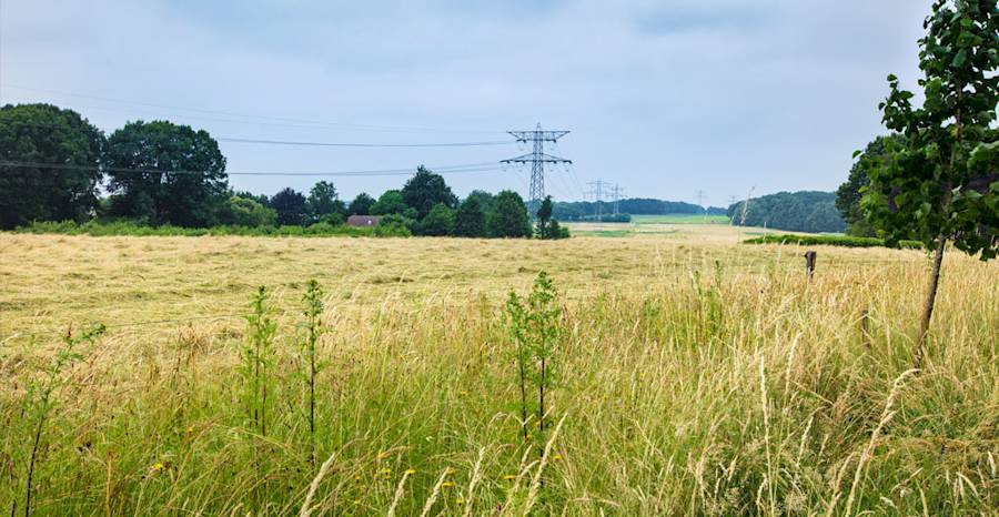 Samenwerkende Overheden West-Brabant veelal positief over nieuw tracé 380 kV Zuid-West (Oost)