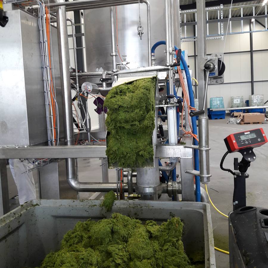 Regio Deal - Green Protein Excellent Center stimuleert transitie plantaardige eiwitten