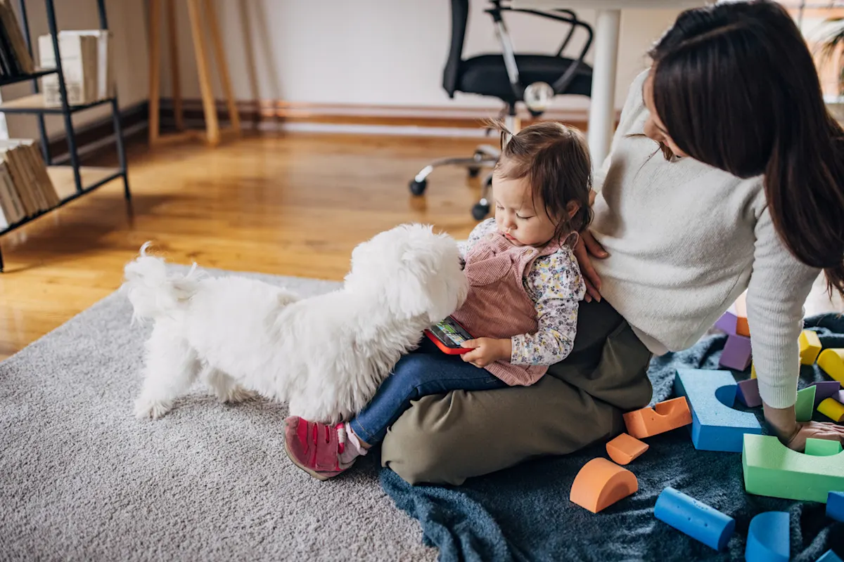 How to Introduce Your Dog to Your New Baby