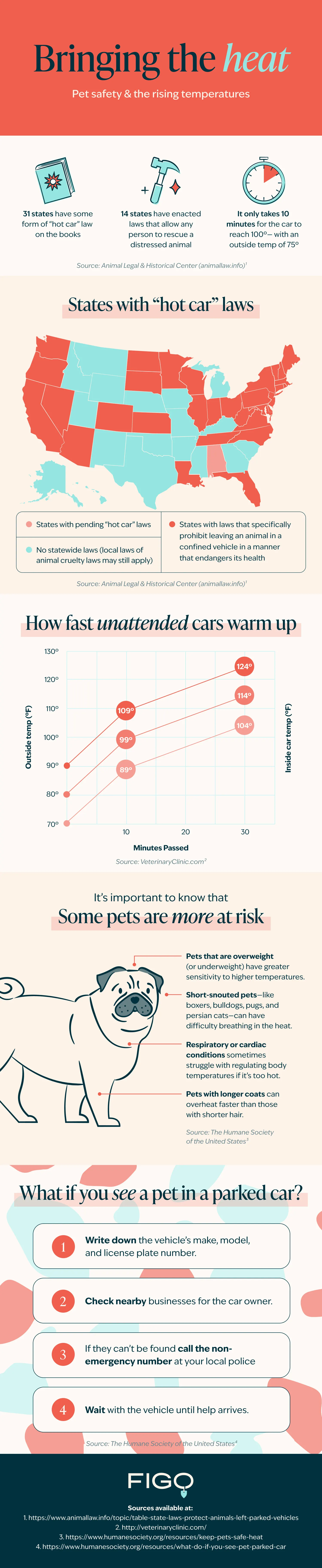 pet safety in cars