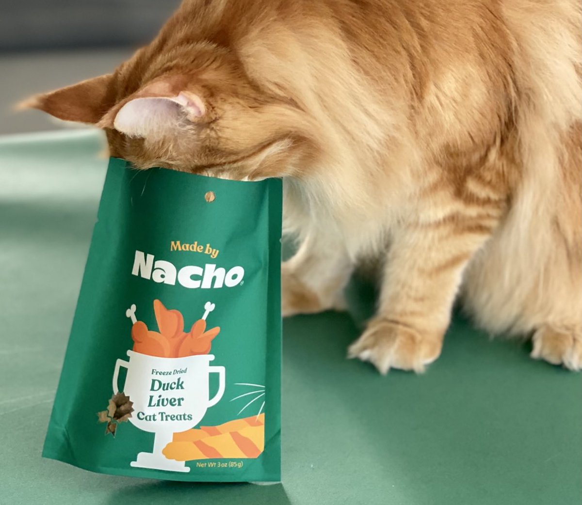 cat eating out of made by nacho gourmet cat food packages