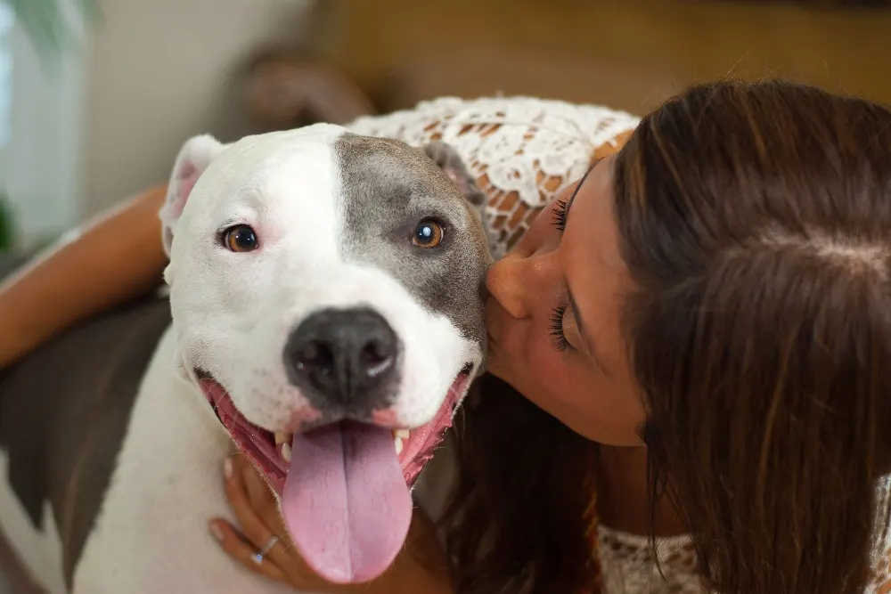 5 Ways to Tell Your Dog “I Love You” on Valentine’s Day