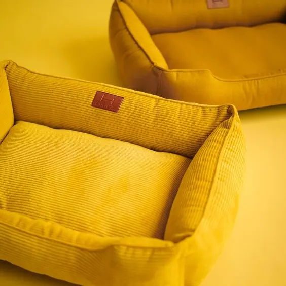 yellow dog beds