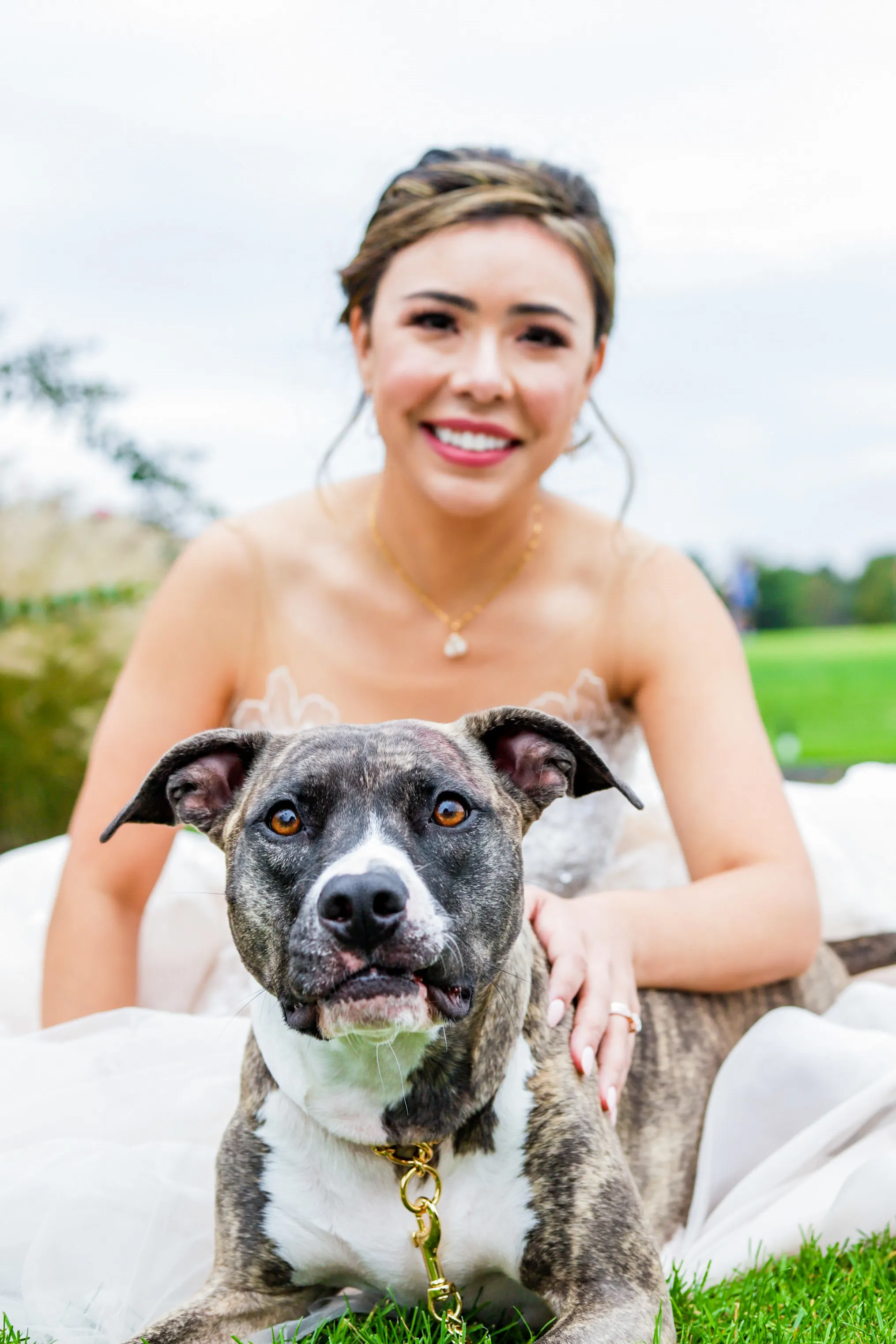 dog with flower collar posing with bride