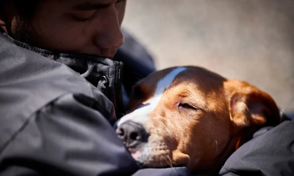 10 Benefits of Pets for Mental Health