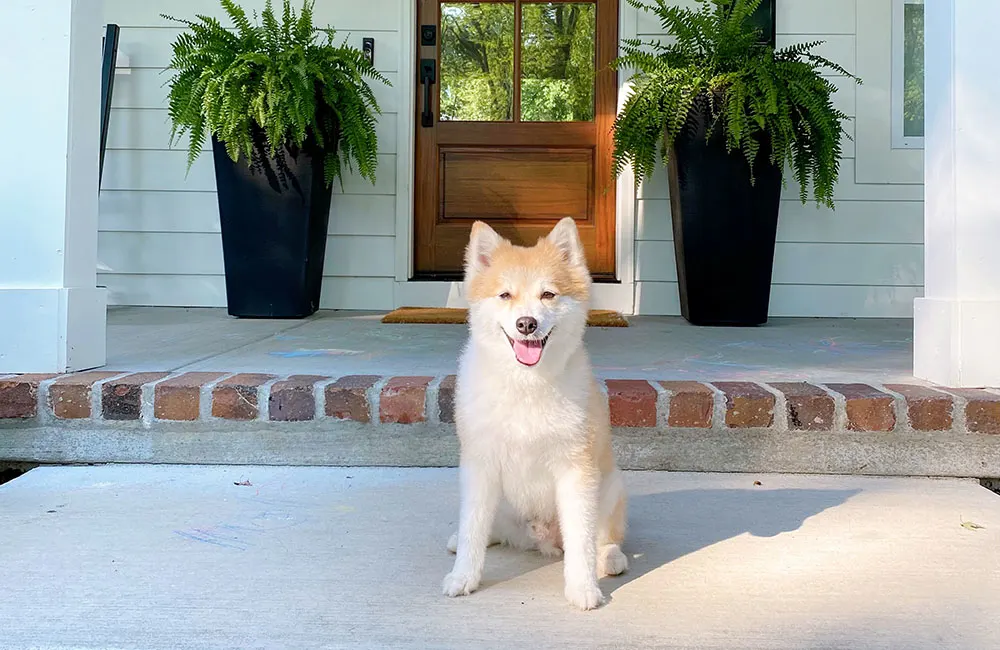 This Gorgeous Missouri Family Home is a City Dog's Dream