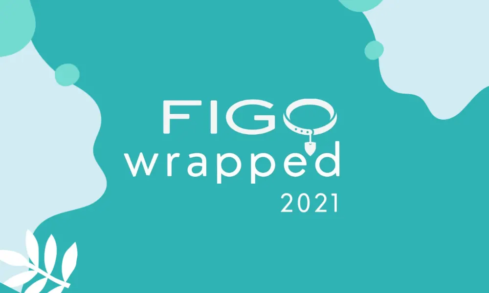 Figo 2021 Wrapped
