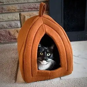 Pumpkin Cat Houses for Indoor Cats