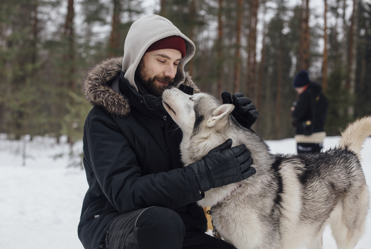 Siberian Huskies: The Good, the Bad, and the Ugly