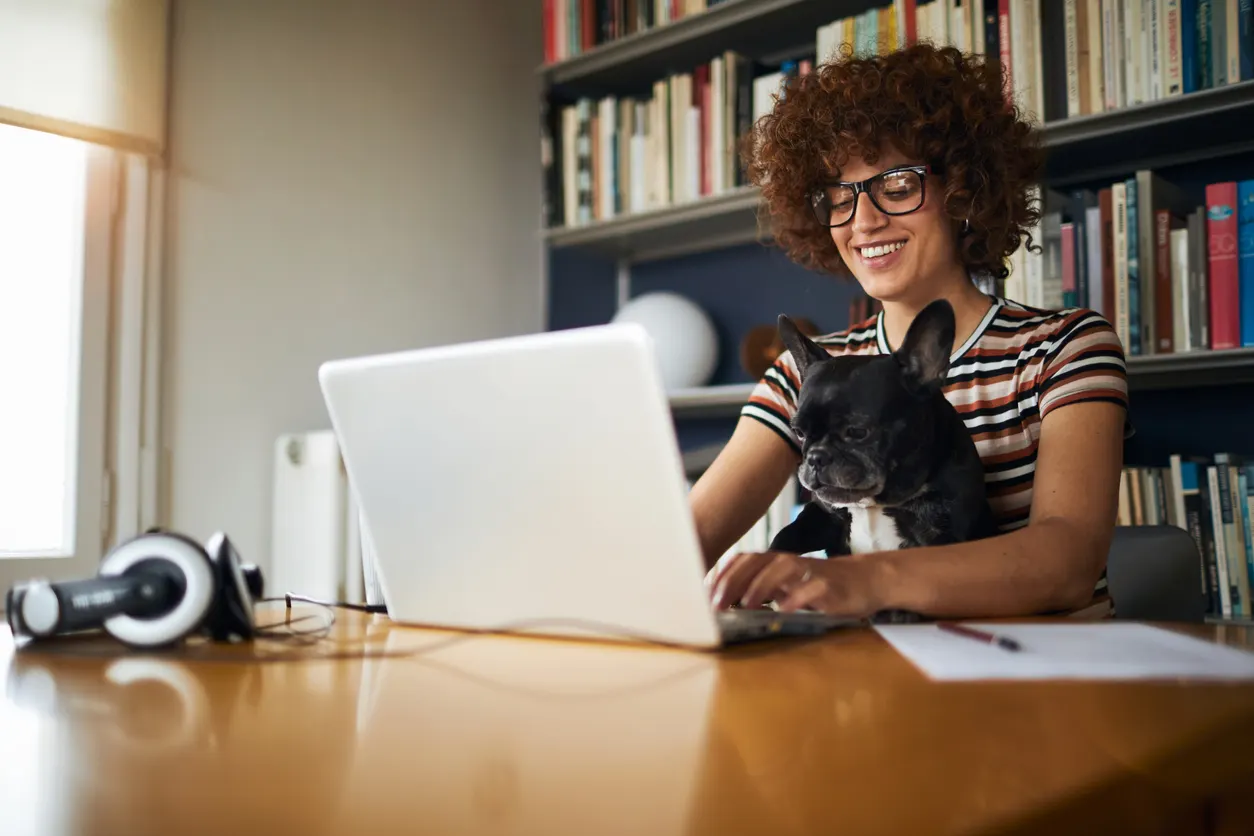 Woman sits at laptop with Frenchie