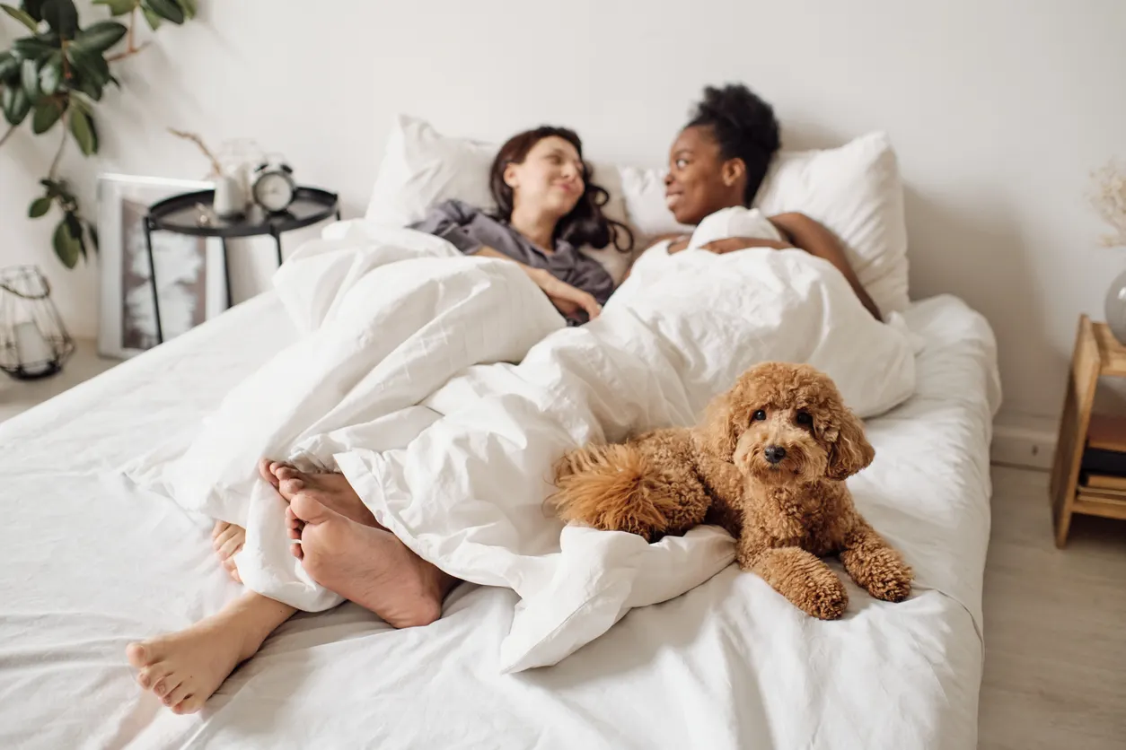 couple lays in bed with dog at their feet