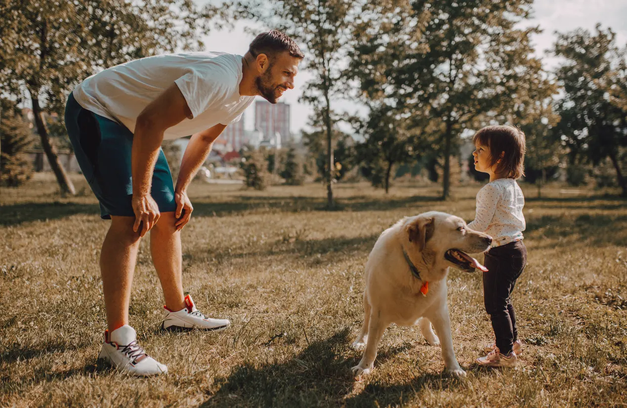 Dad playing with daughter and their yellow lab outside