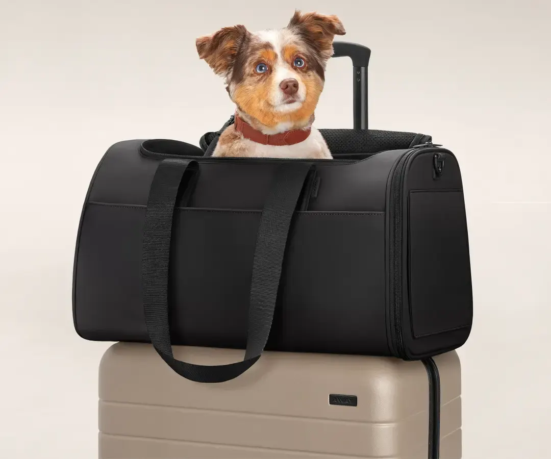 Pet regulation carrier